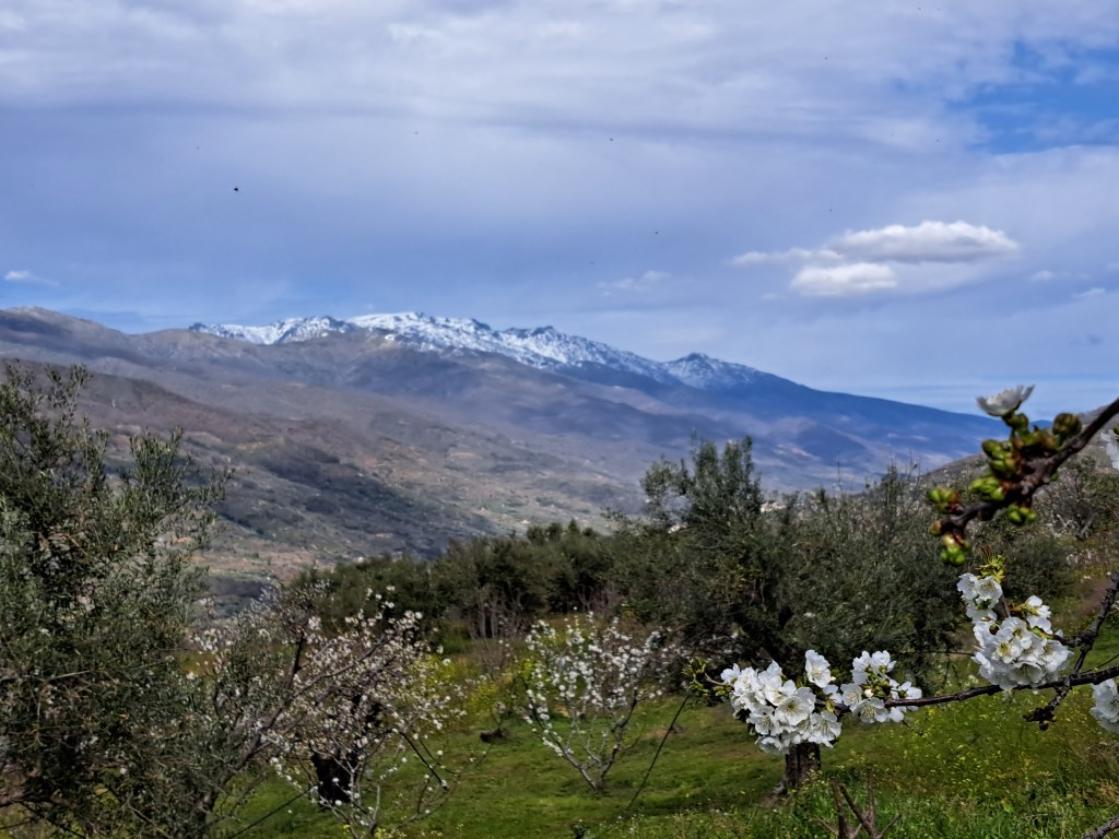 Descubre el Museo de la Cereza en el Valle del Jerte